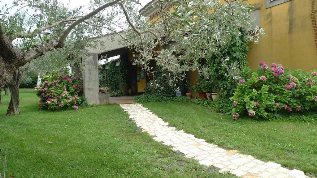 Bed and Breakfast Le Ninfee Кассино Экстерьер фото